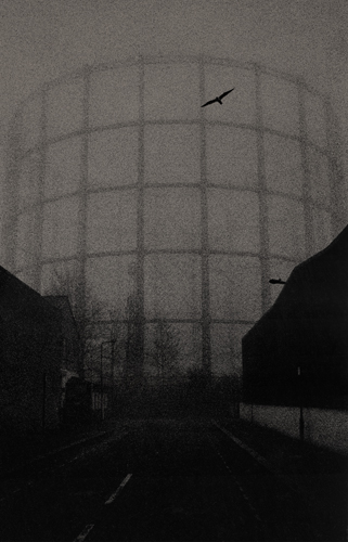 Solitary bird flying over gasometer in mist at dusk