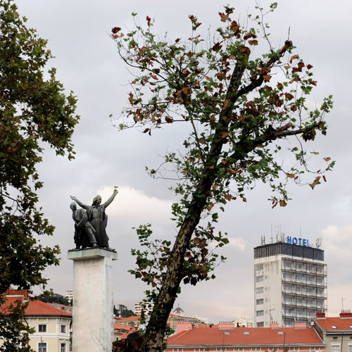 Trees and memorial sculpture in Rijeka, Croatia