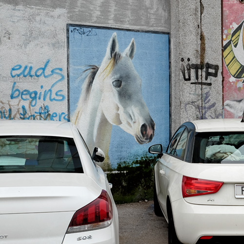 Graffiti of a horse with cars in Rijeka, Croatia